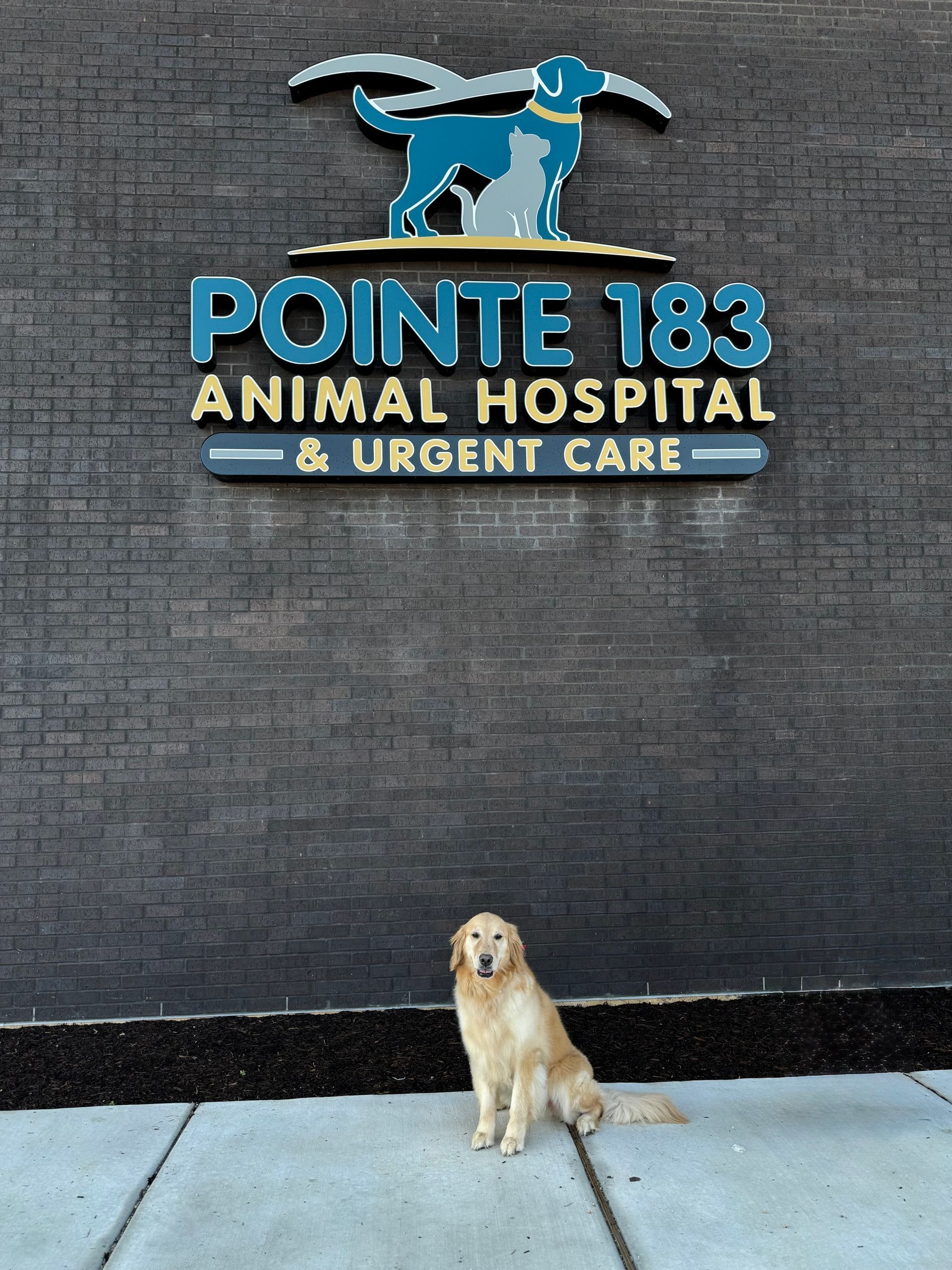 A dog sitting in front of a pointe 183 animal hospital sign