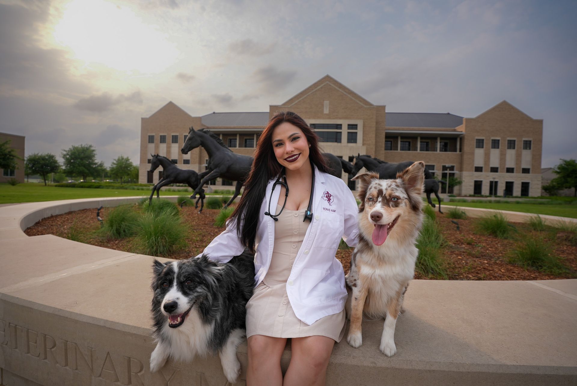 veterinarians
