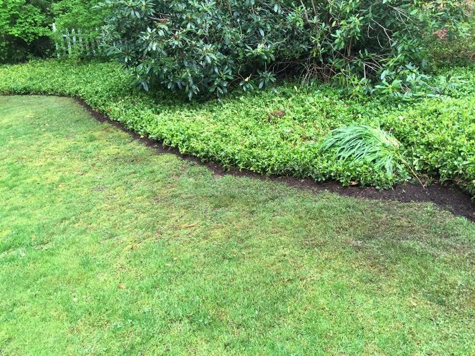 Landscaping services