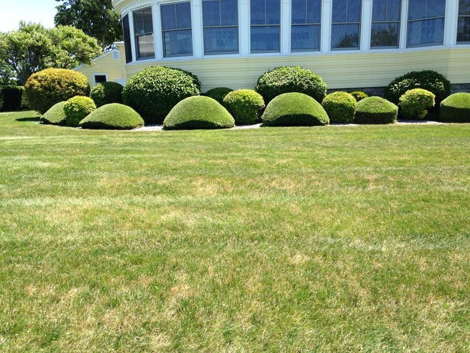 Landscaping services