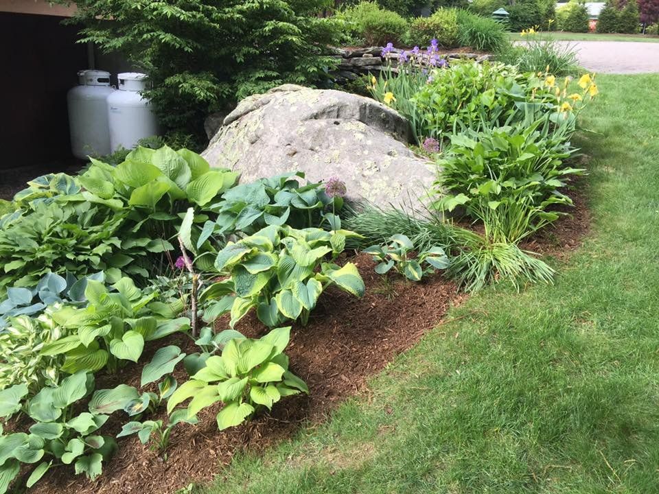 Landscaping services