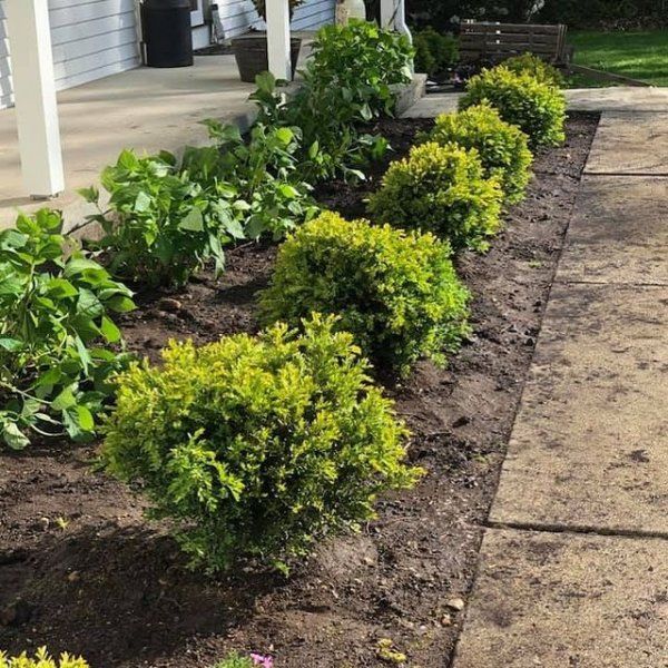 Landscaping services