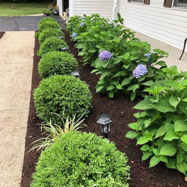 Landscaping services