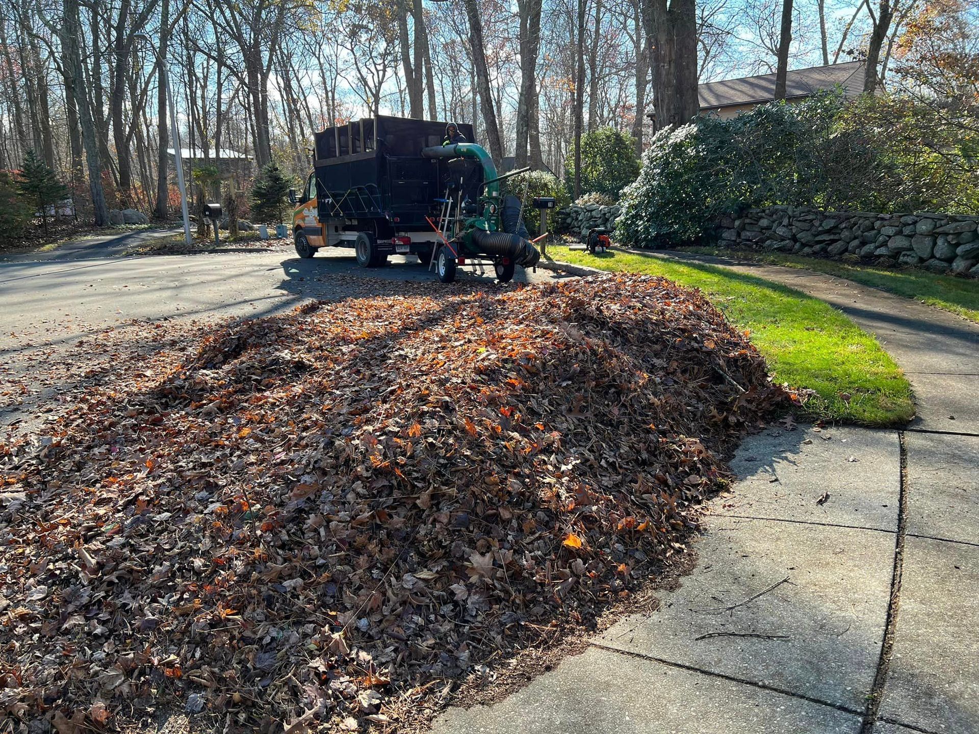 Spring and fall cleanup service