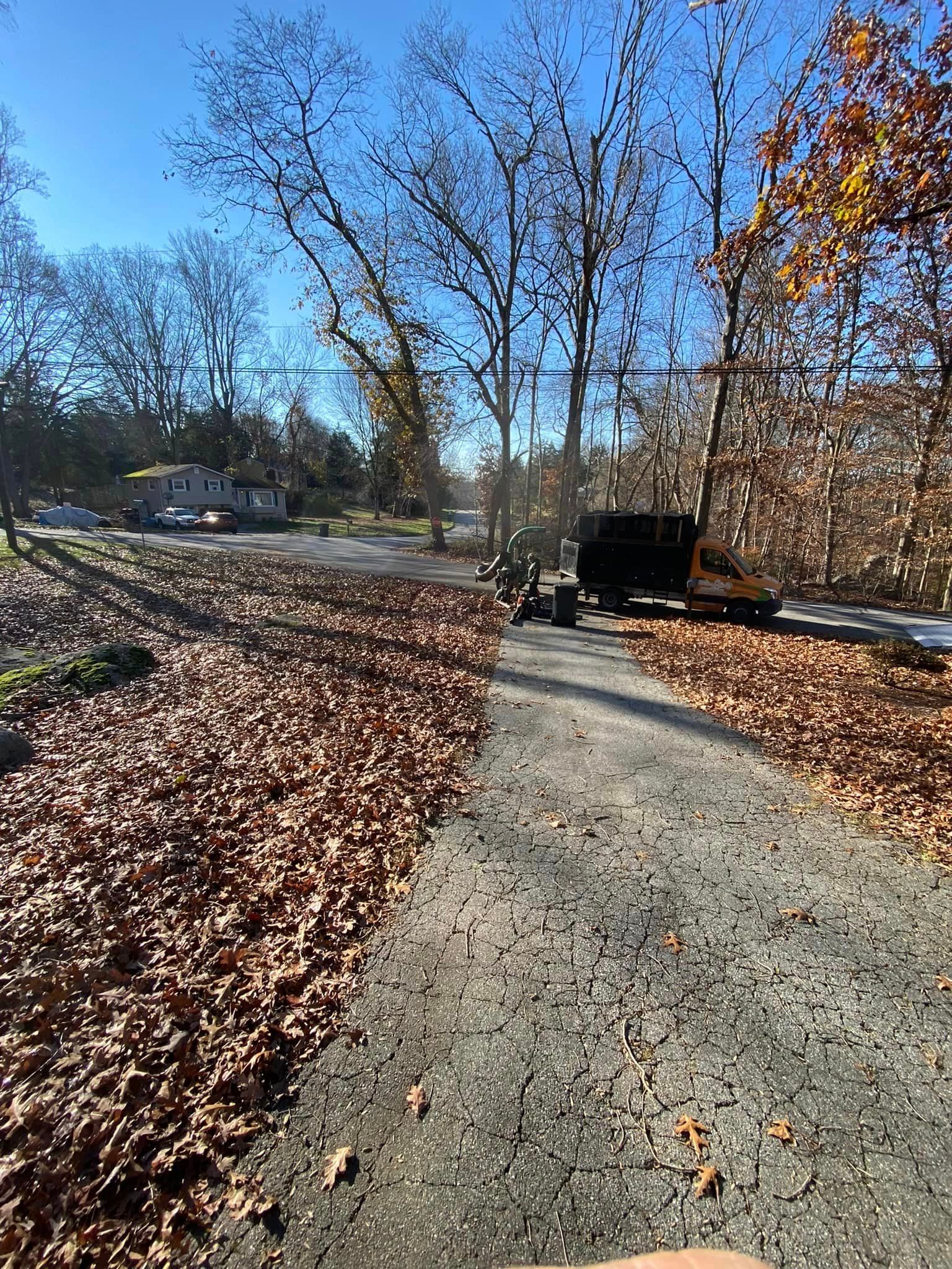 Spring and fall cleanup service