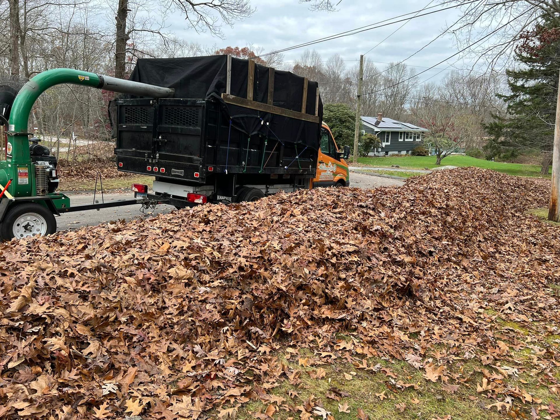 Spring and fall cleanup service