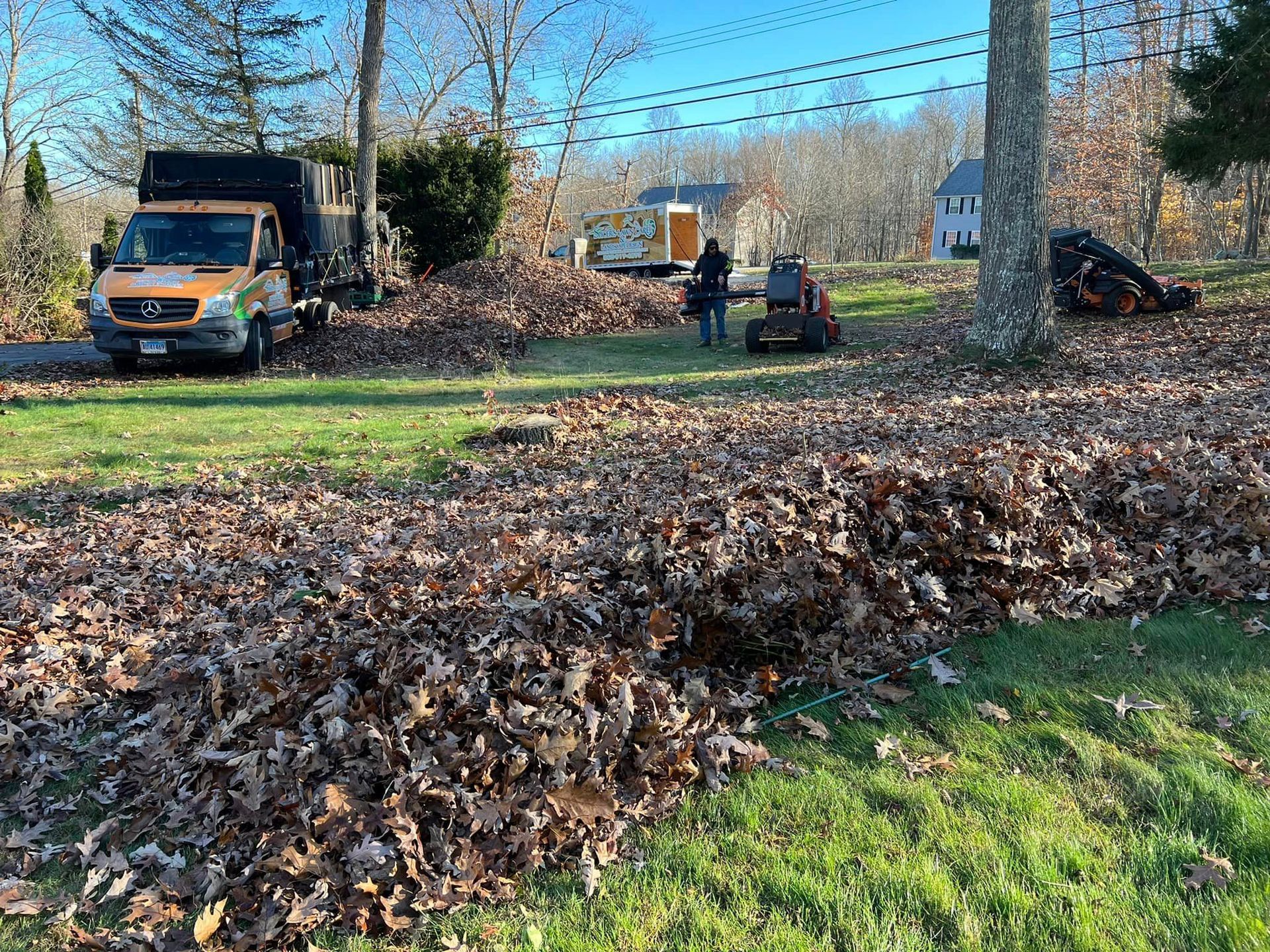Spring and fall cleanup service