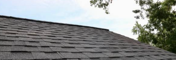 A close up of a roof with a tree in the background.