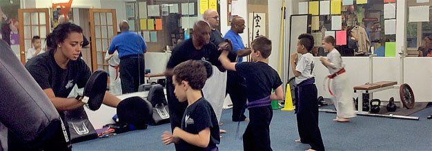 Karate Academy System