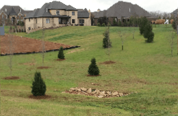 Suburban hillside with houses, green lawn, and small evergreen trees under cloudy skies