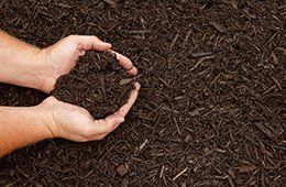Hands holding a handful of dark soil over a bed of mulch