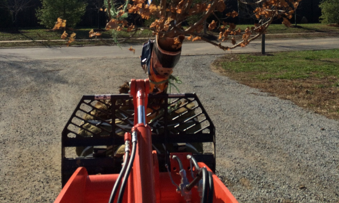 Red tractor bucket carrying a small tree on a gravel path outdoors