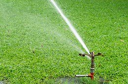 Sprinkler spraying water over a green lawn in daylight