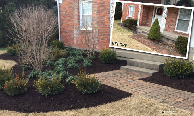 Landscaped front yard with shrubs, mulch beds, and a brick house entry with steps and concrete walkway