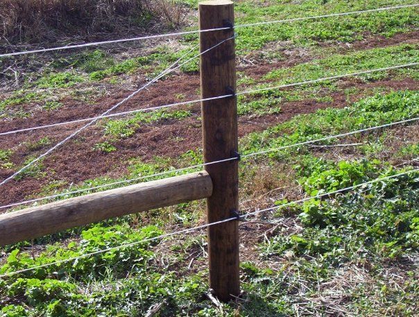 Agricultural fence