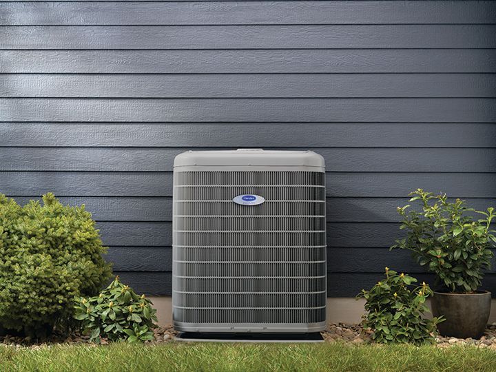 A grey Carrier air conditioning unit sits on the ground in front of blue horizontal siding, flanked by green bushes.