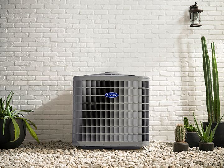 A gray Carrier HVAC unit sits on a gravel path against a white brick wall, flanked by several potted cacti.