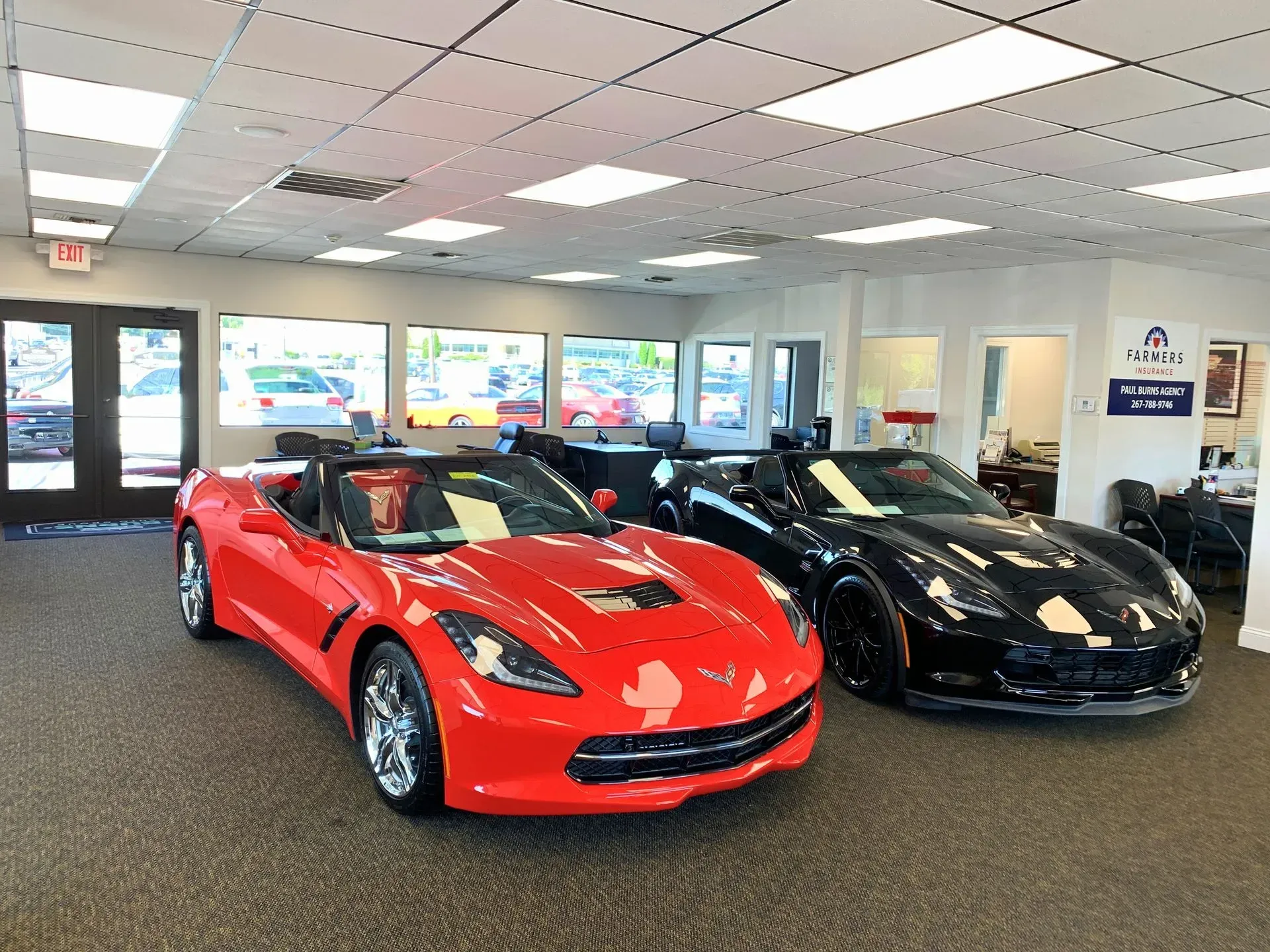 Red and black sports cars displayed in a showroom with large windows and bright ceiling lights