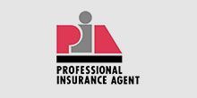 Professional Insurance Agent