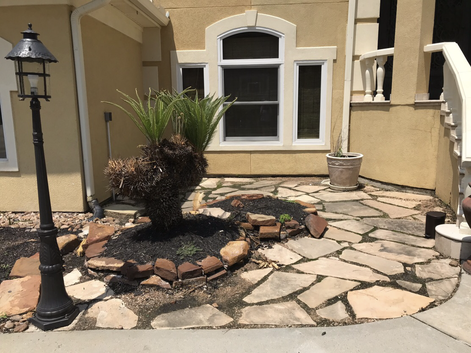 Front yard with flagstone path, black mulch, palm plant, lamp post, and tan stucco house.