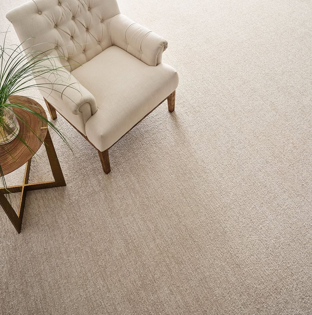 Beige armchair on textured carpet, next to a small table with a plant.