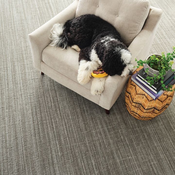 A black and white dog is laying in a chair next to a side table.