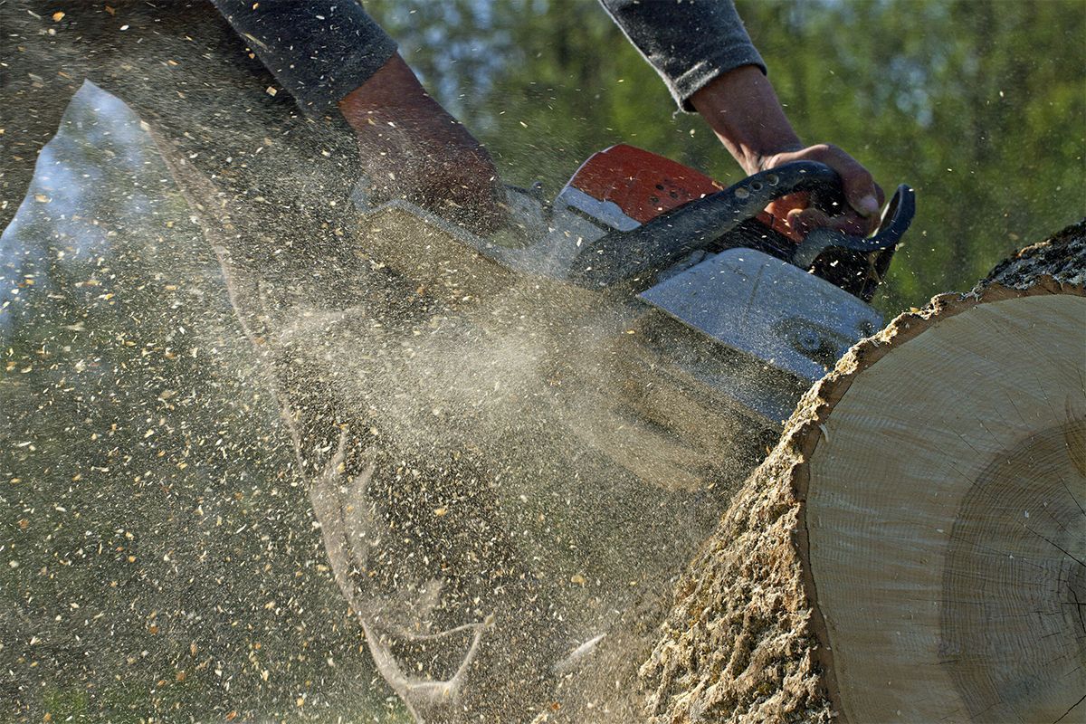 A person is cutting a log with a chainsaw.