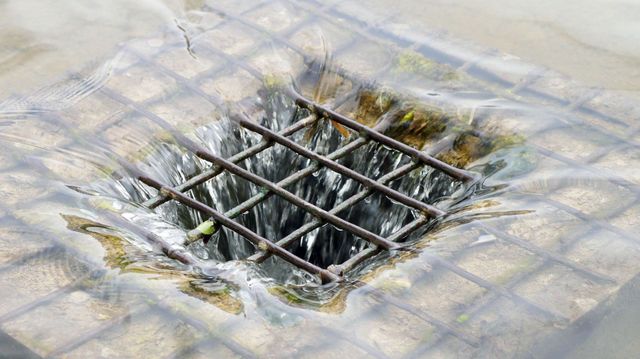 grease trap cleaning