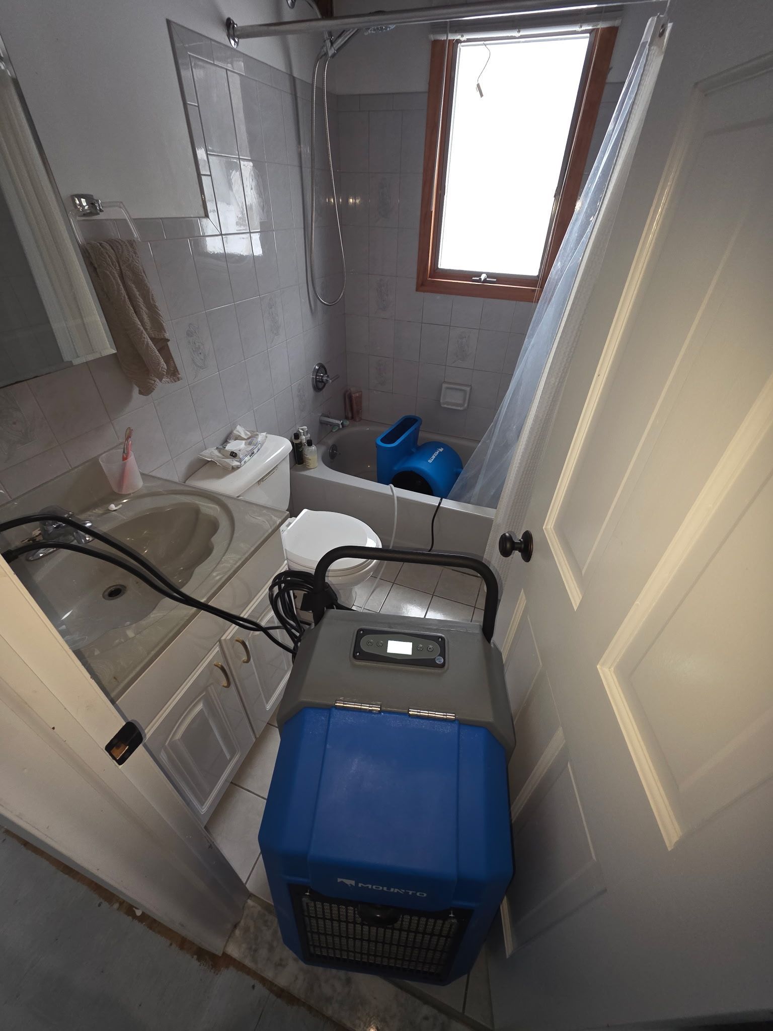 Narrow utility room with a blue cart, sink, hoses, and a window on the back wall.
