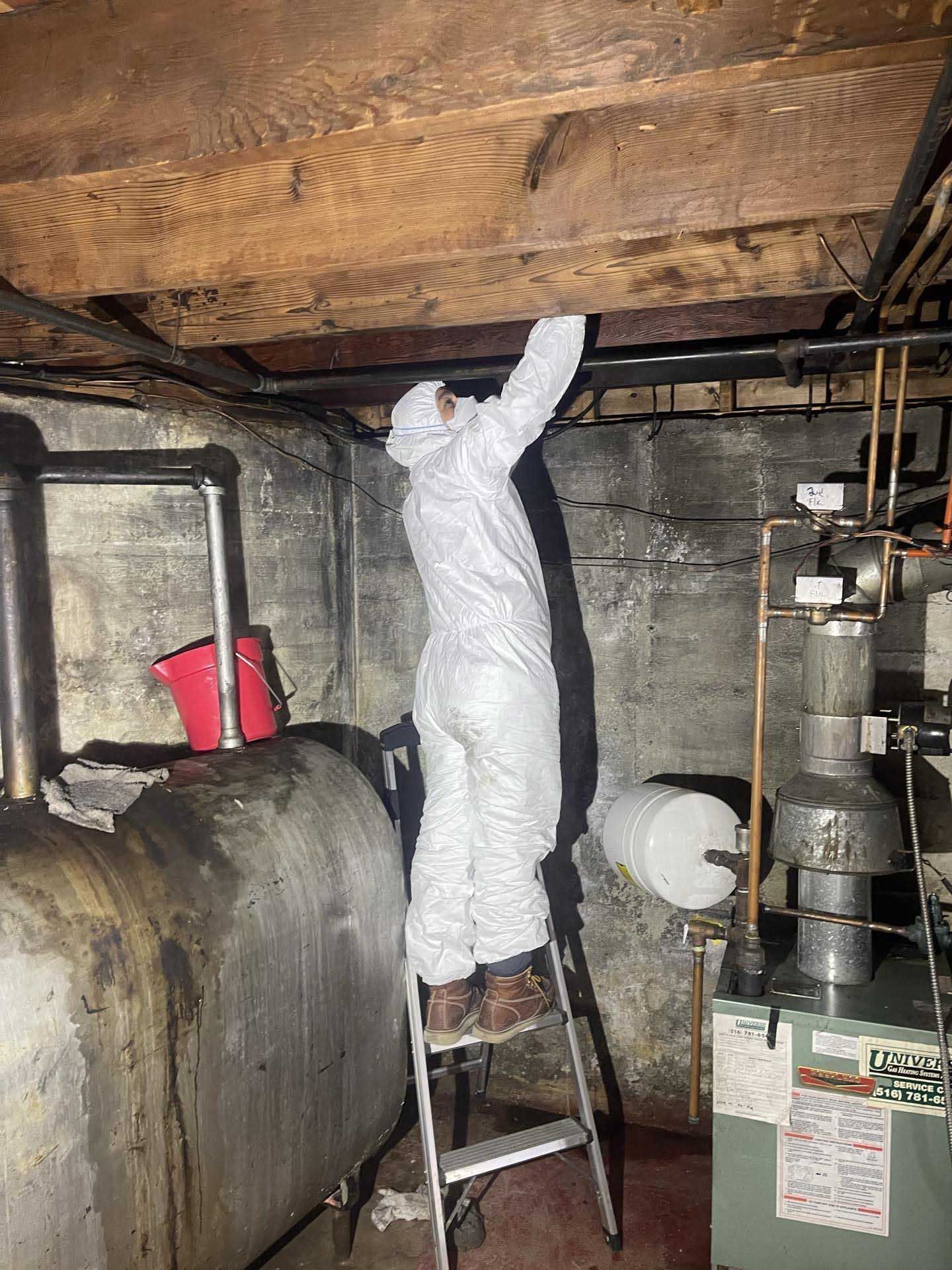 A person in a white protective suit stands on a step ladder, inspecting the wooden floor joists in a dimly lit basement.