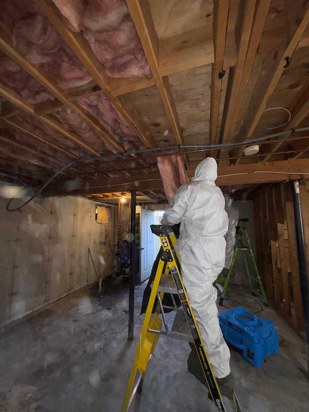 A worker in a white protective suit on a yellow ladder removes insulation from a wooden basement ceiling.