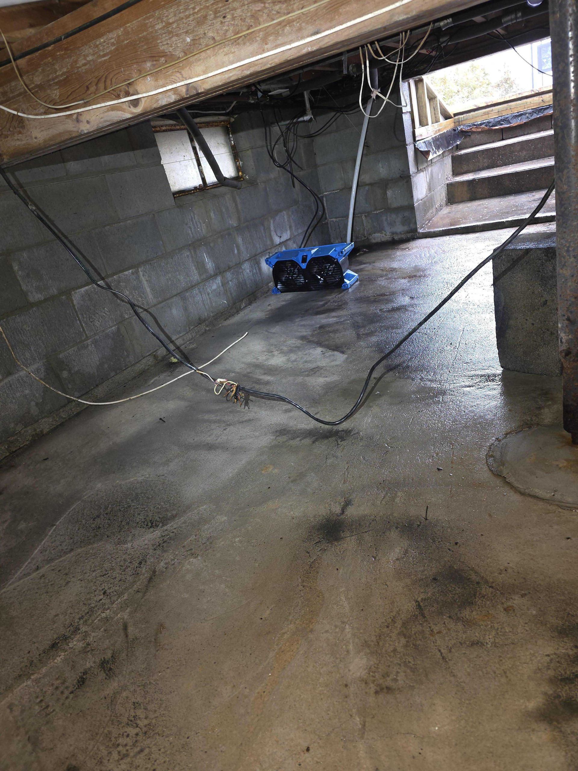 A damp basement with concrete block walls, overhead wiring, stairs in the background, and a blue floor fan.