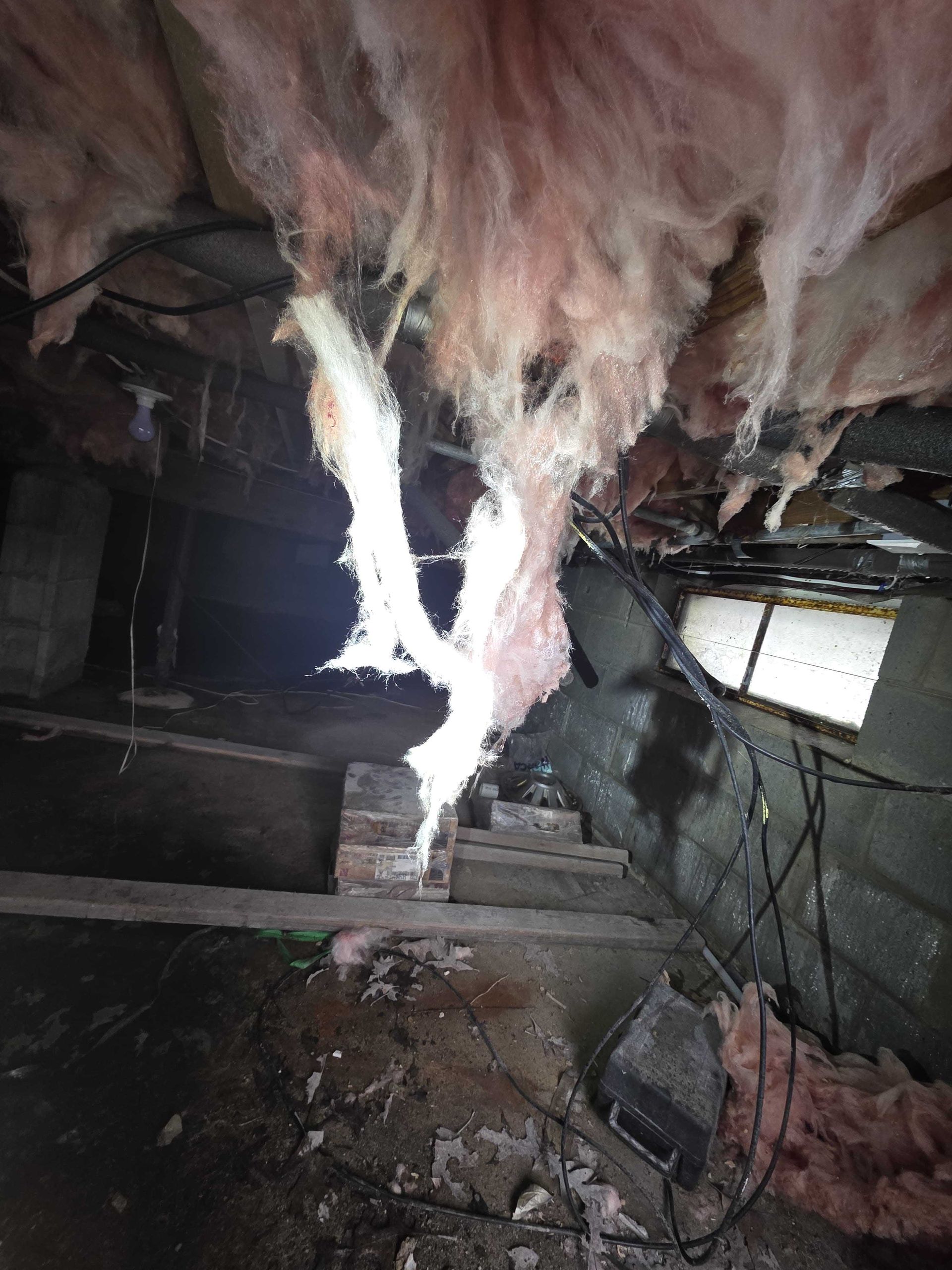 Pink fiberglass insulation hangs down from dark wooden ceiling joists in a damp, unfinished crawl space or basement.