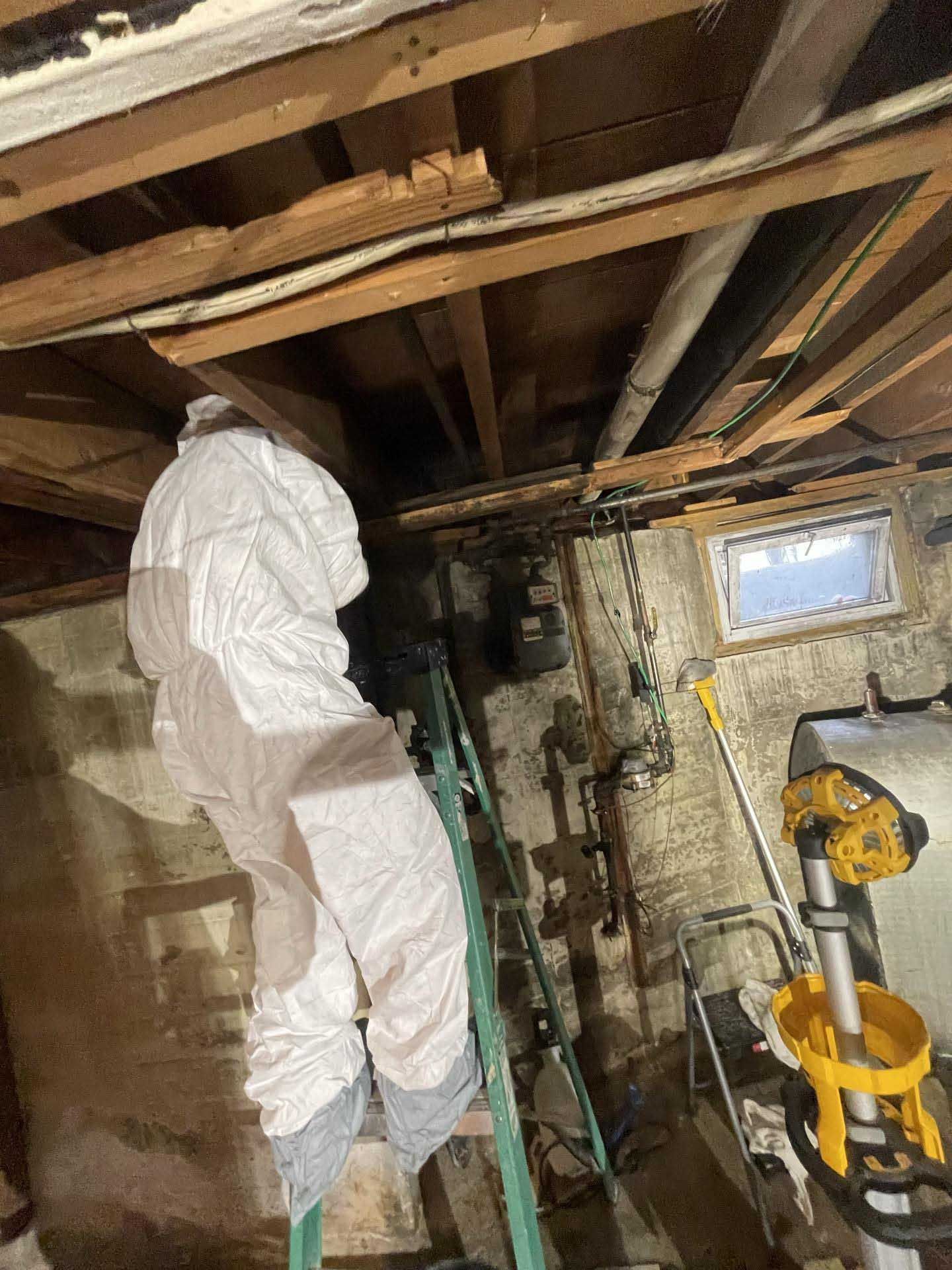 A person in a white protective suit on a ladder, inspecting the exposed wooden ceiling joists in a basement.