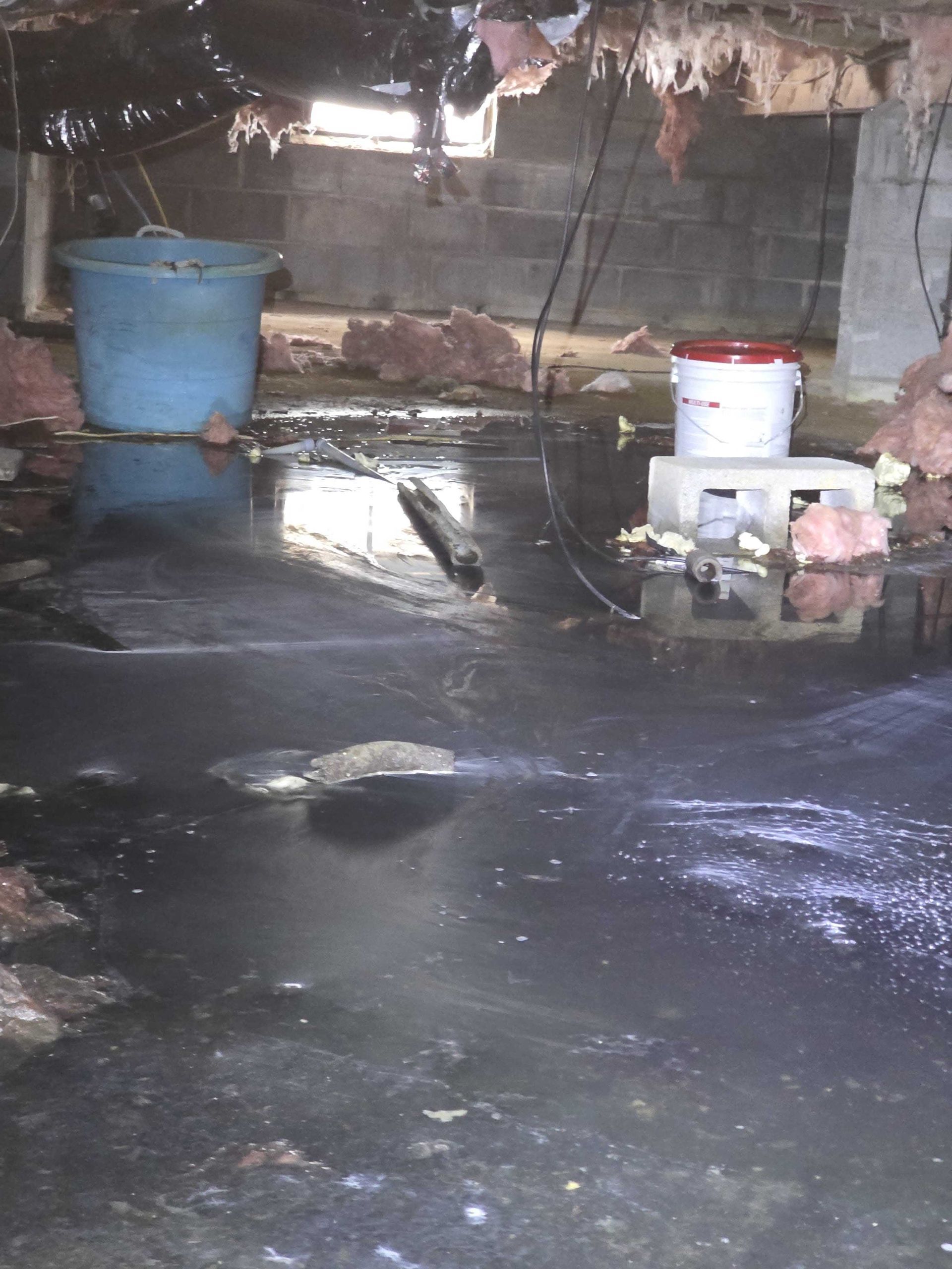 A flooded crawlspace with standing water, insulation debris, a blue bucket, and a white container on a concrete block.
