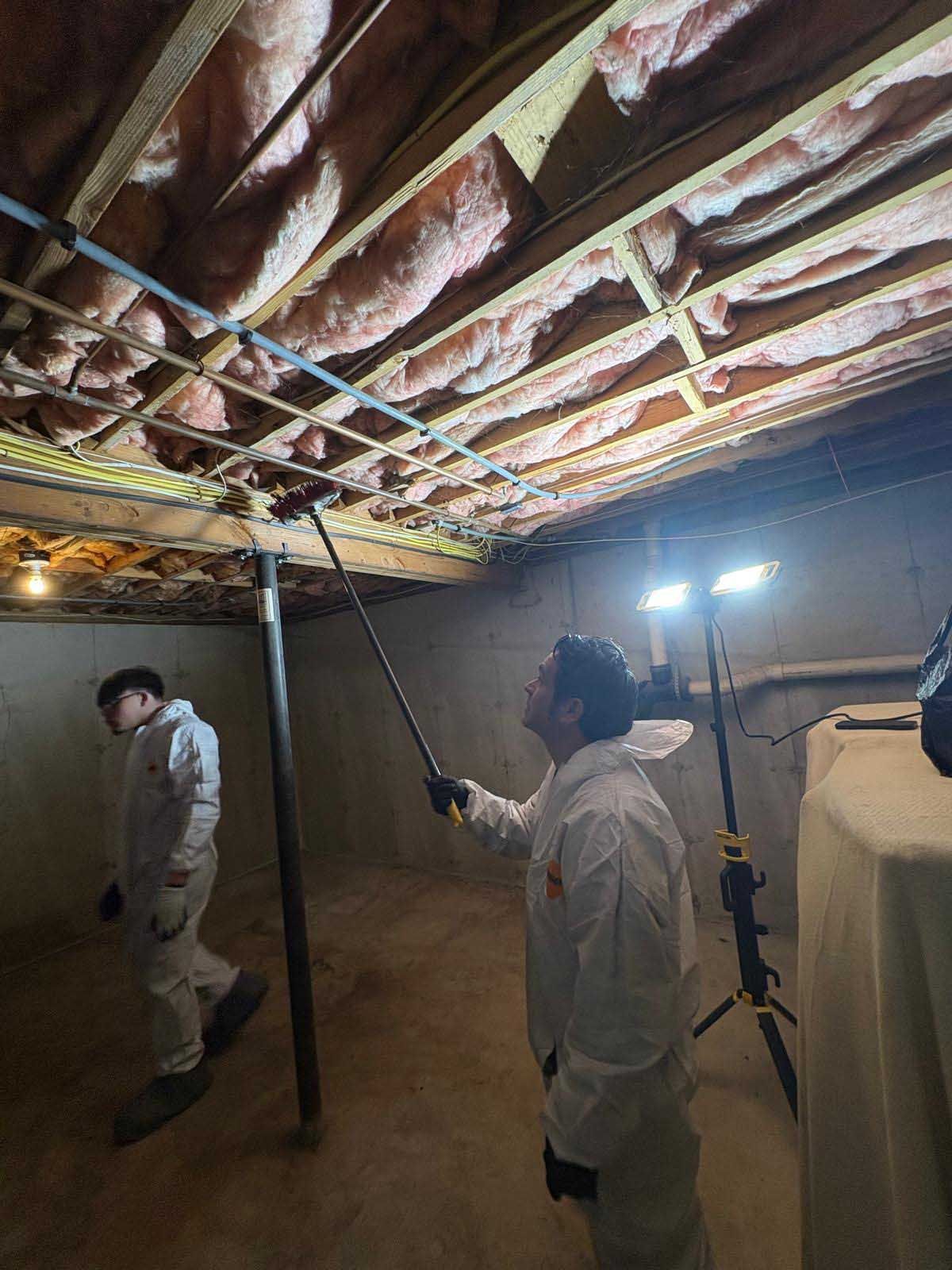 Two people in protective suits work in a basement, using a long tool to inspect insulation between ceiling joists.