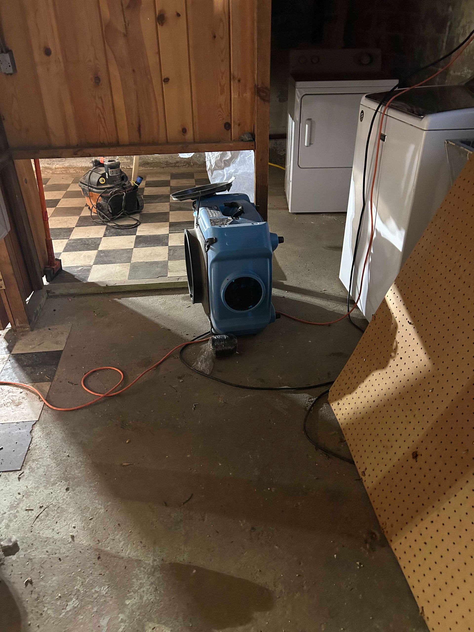 A blue industrial fan sits on a concrete floor in a basement near a laundry area and a checkered tiled room.