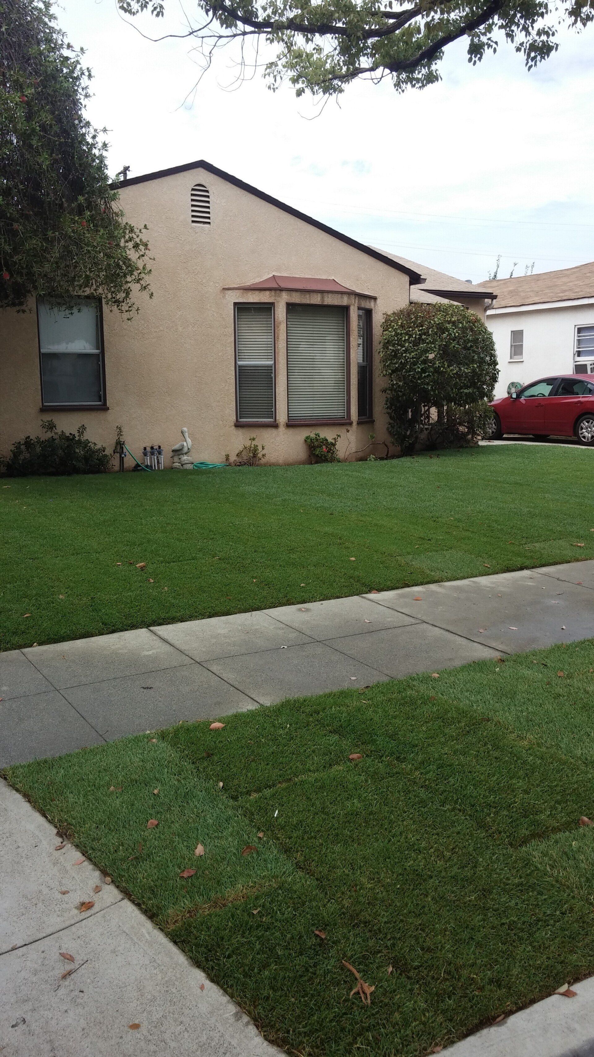 Lawn and concrete walkway