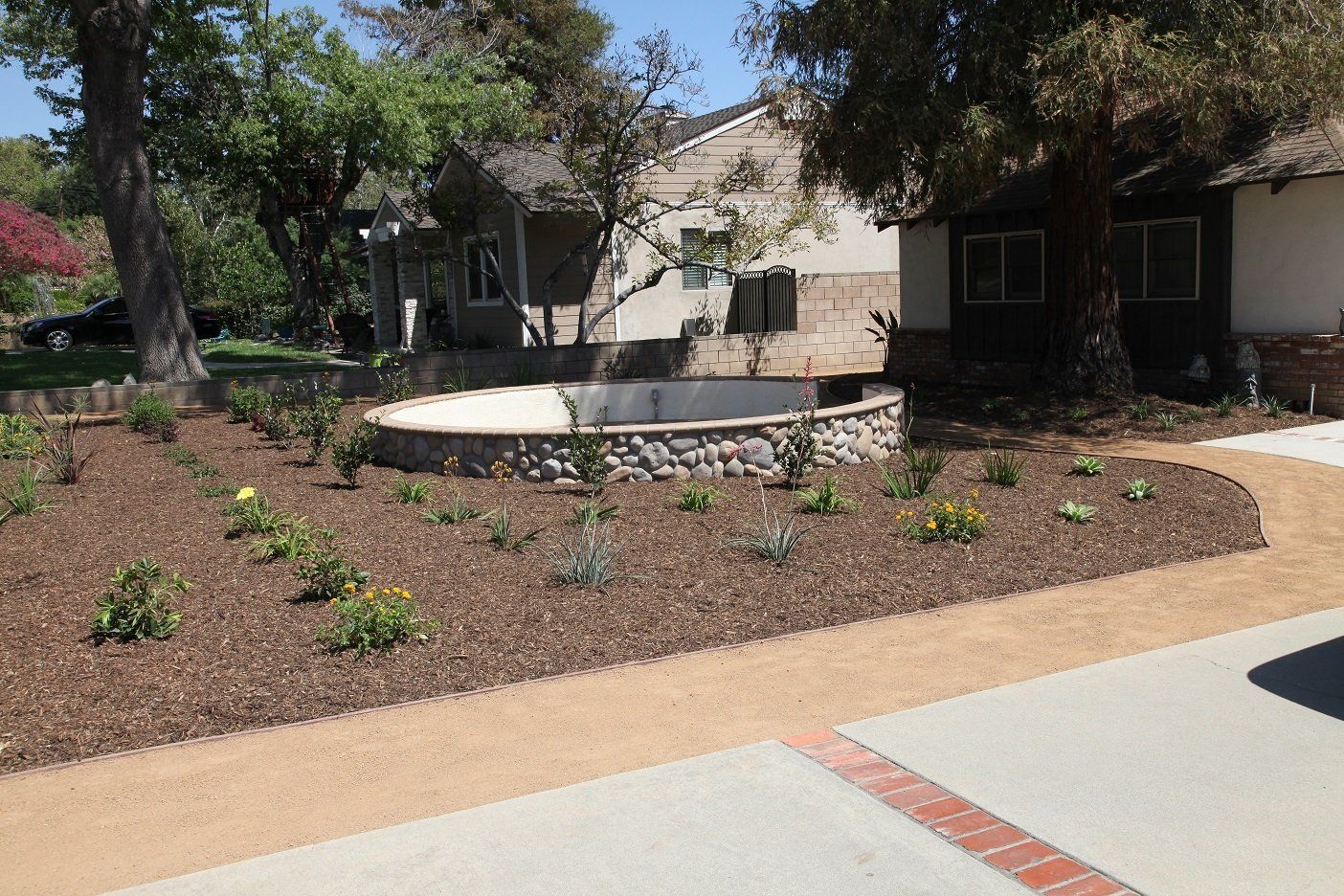 Yellow flowers and stone wall