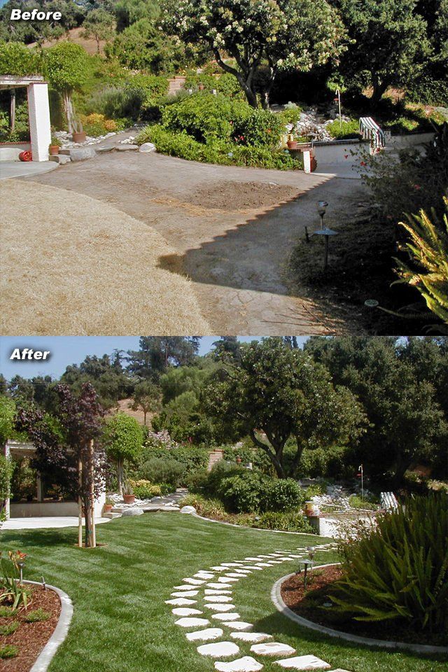 Before and after photos