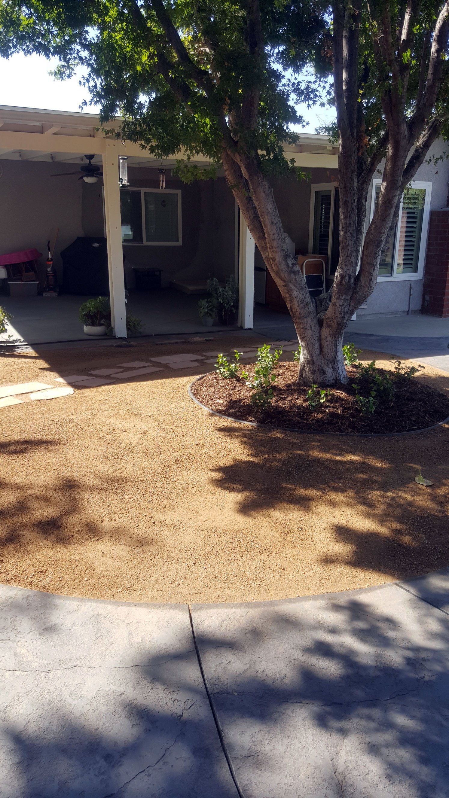 Stone walkway and beautiful tree