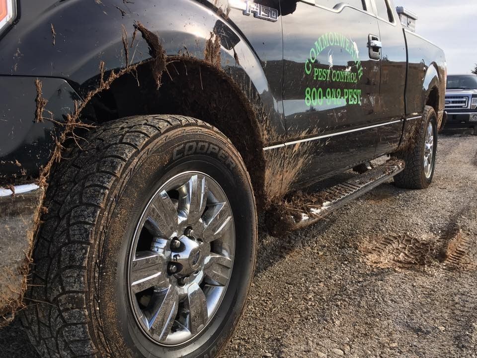 Black pickup truck covered in mud, parked on a gravel road. Side features business logo and phone number.