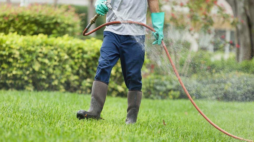 Person spraying lawn with hose, wearing gloves and boots, near green bushes.