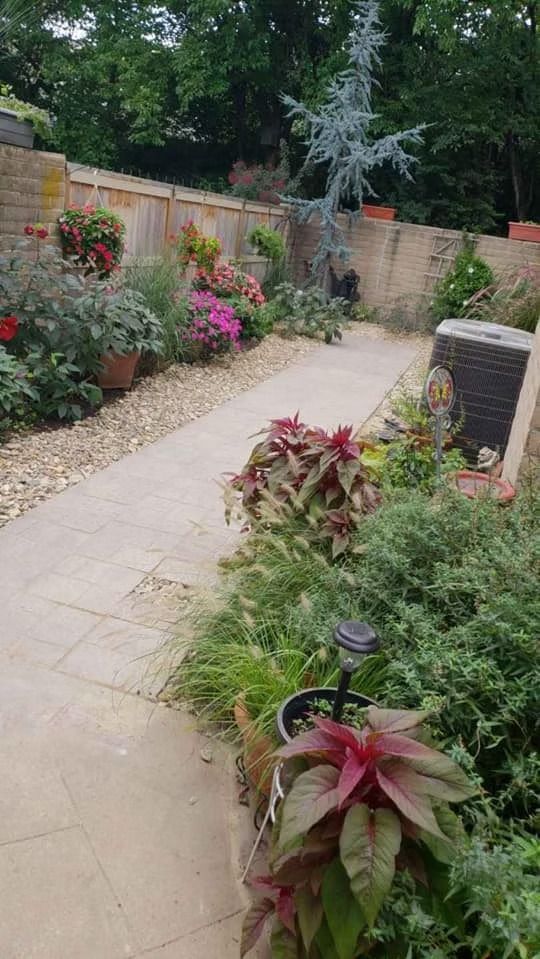 Stone path winds through a garden with flowerpots, flowers, brick wall, and a small blue tree.