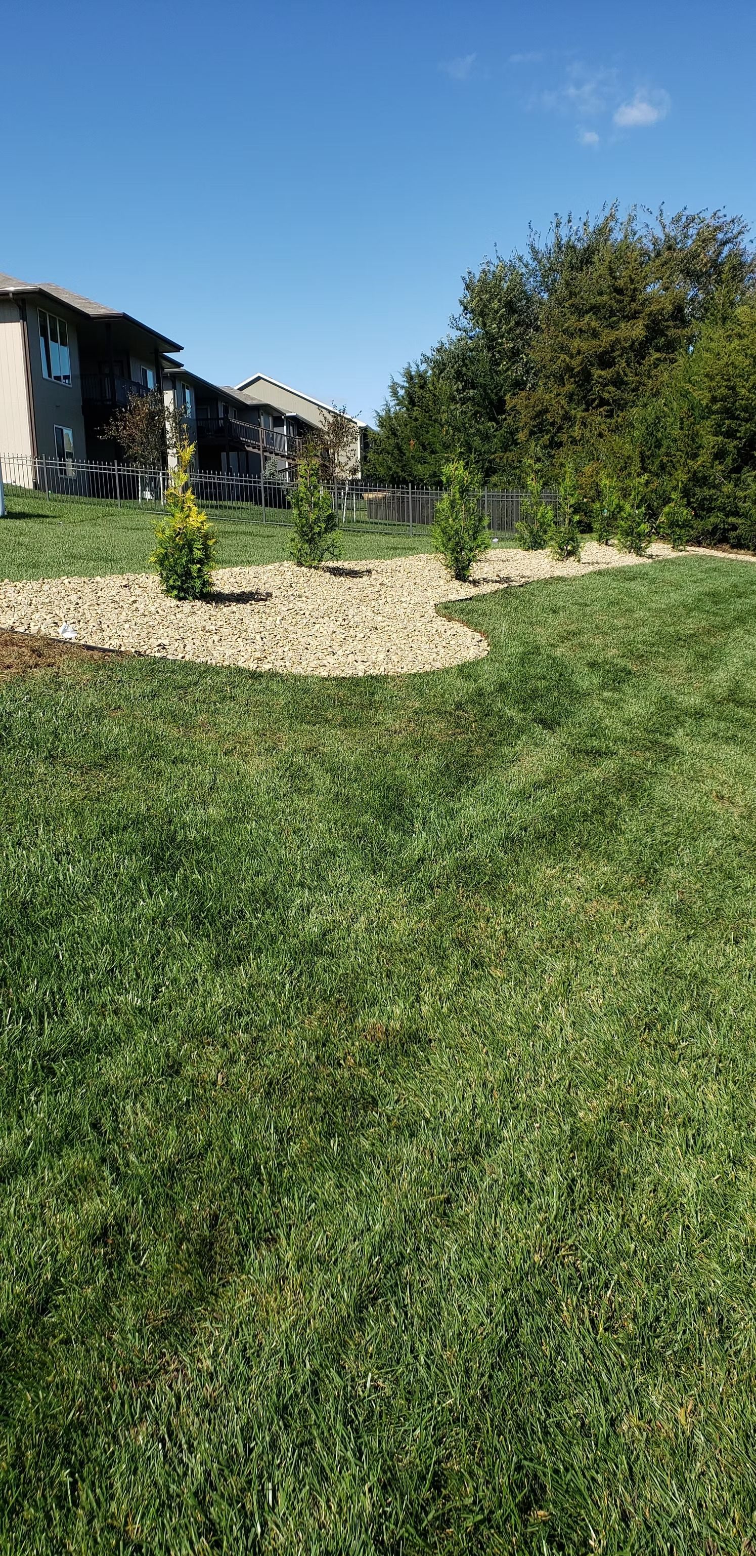 Lush green lawn with mulch and small plants in front of houses under a blue sky.