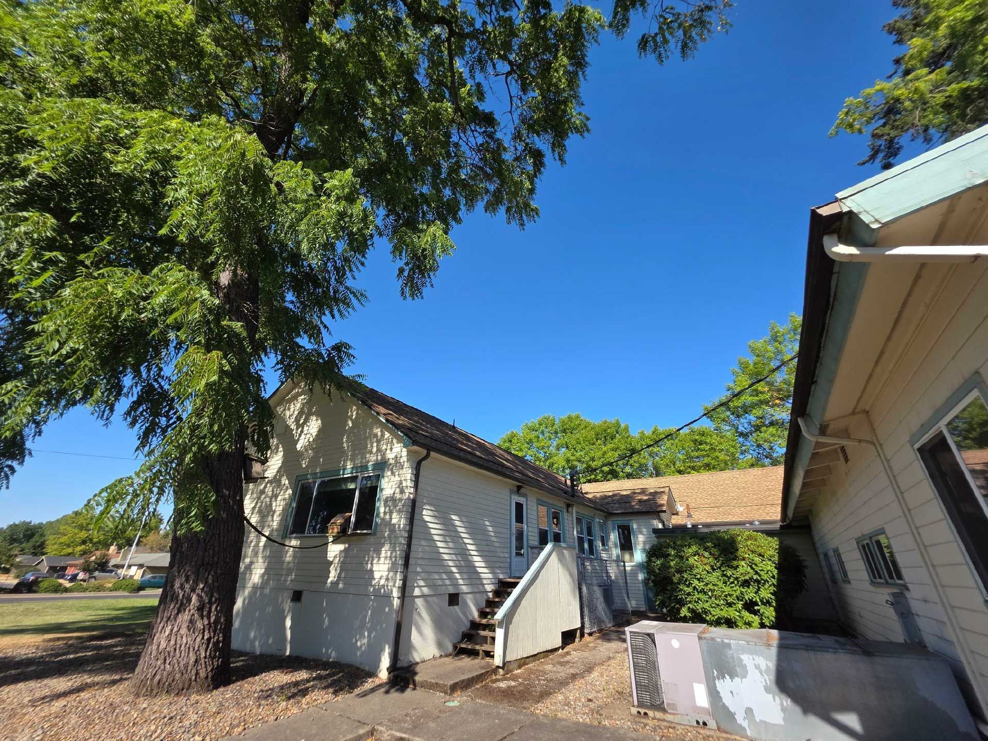 a white building with a tree in front and a clear blue sky