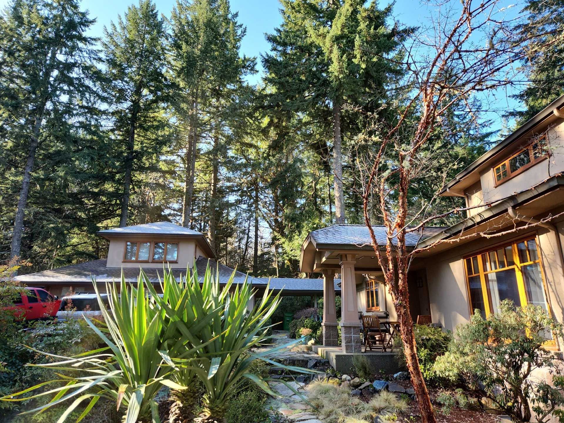 a house with light exteriors, framed by tall green trees under a blue sky