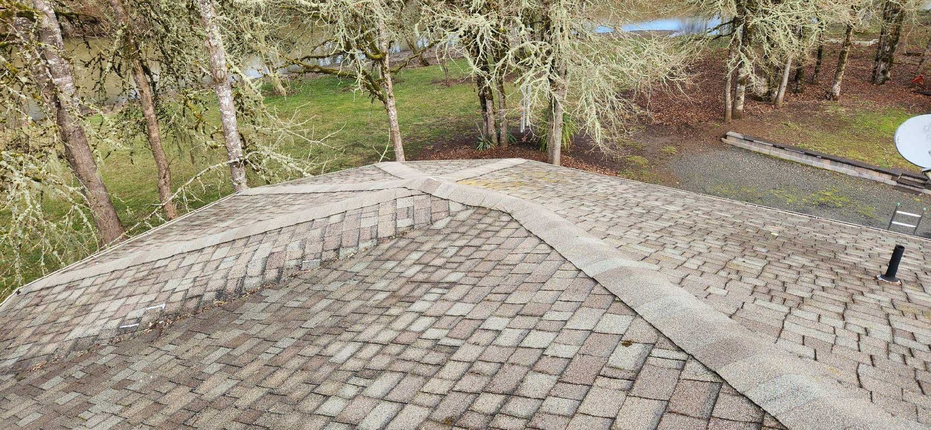 view of a house roof, surrounded by trees