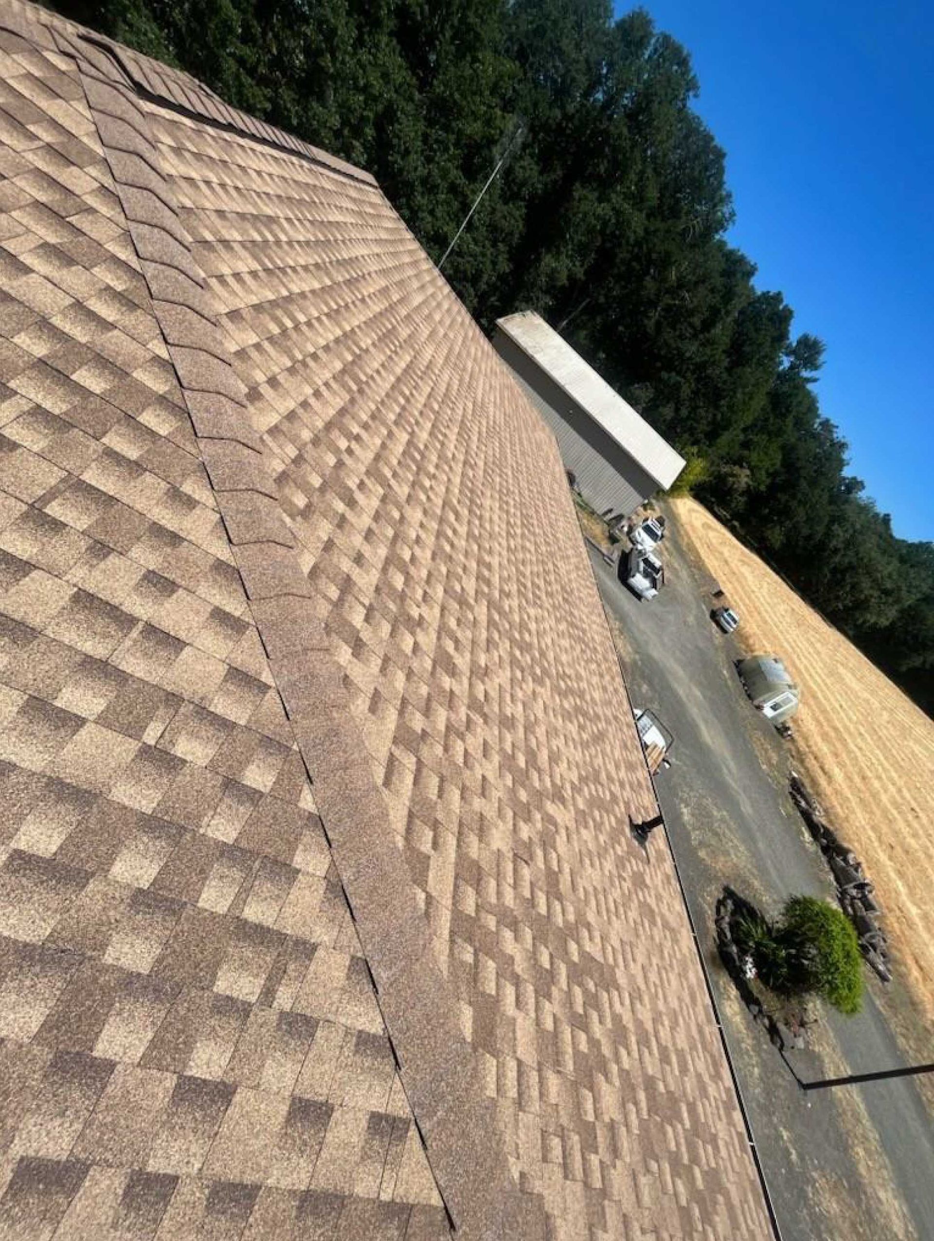 brown asphalt shingle roof