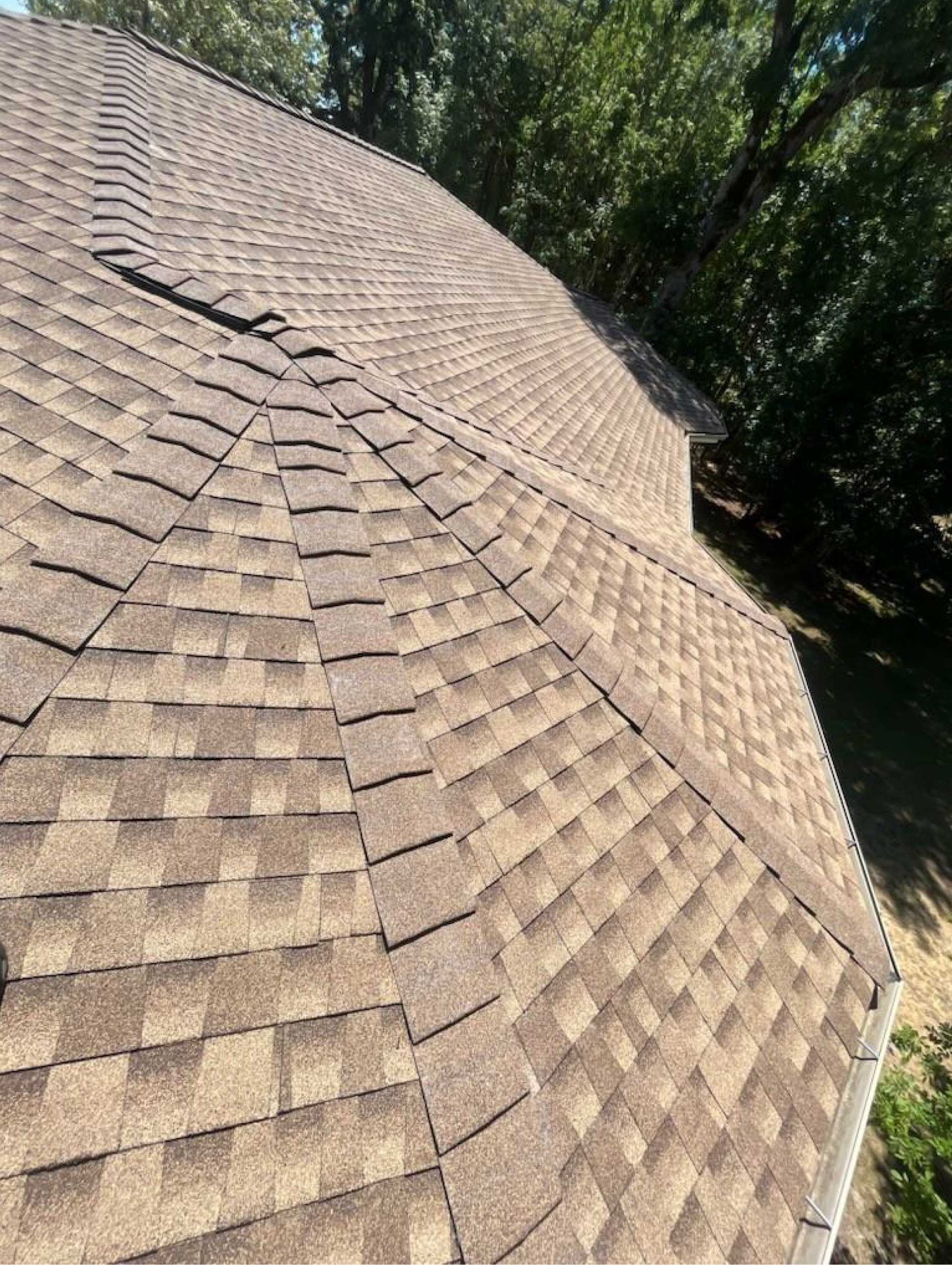 a brown shingled roof angled, with trees in the background